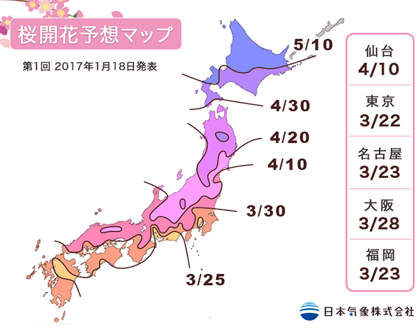 2017_sakura